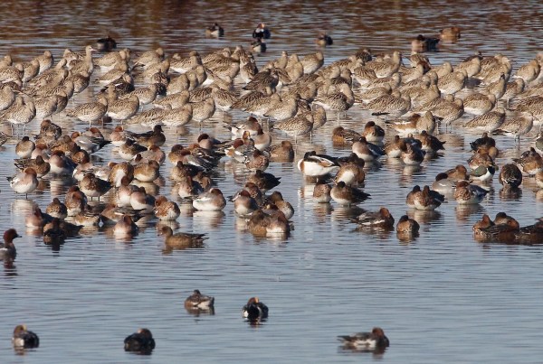 delta_schuitenbeek1314