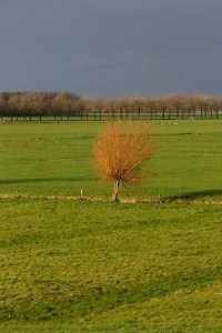 Polder Mastenbroek