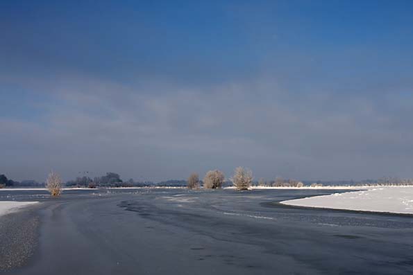 Foto van de Uiterwaarden van de IJssel bij Deventer