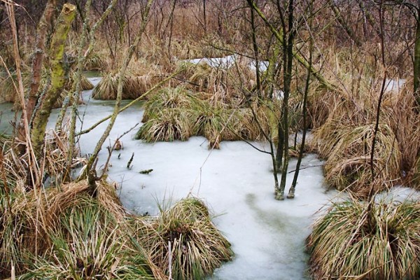 Foto van de Zouweboezem