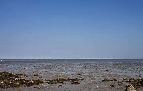 Foto van het Wad bij De Cocksdorp, Texel
