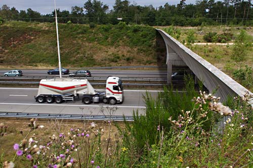 Foto van Ecoduct Leusderheide