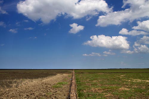 Foto van het Noorderleeg