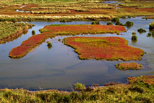 Foto van Inlaag 1887