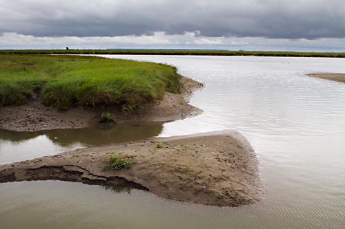 Foto van Het Verdronken Land van Saeftinghe