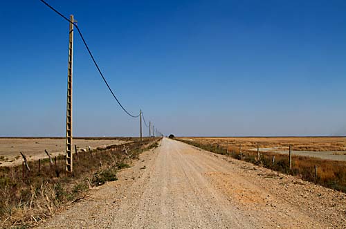 Nationaal Park Coto Doñana, Andalusië, Spanje