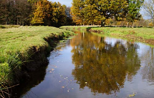 Foto van de Dommel in natuurgebied de Malpei, Valkenswaard