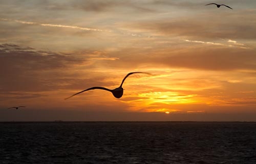 Foto van een zonsondergang, IJmuiden
