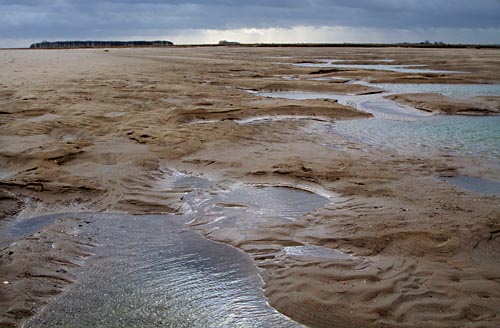 zwin1557 Foto van het Zwin, Cadzand-Bad