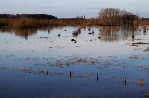 Foto van de IJssel bij Deventer