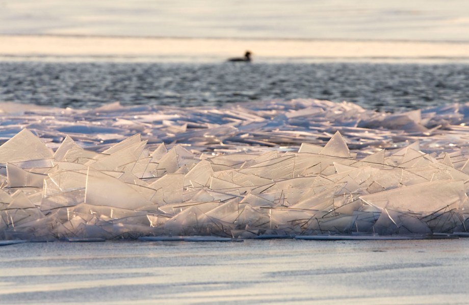 Foto van kruiend ijs, IJsselmeer, Gaasterland