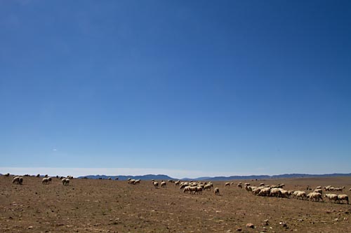 Foto van La Serena, Extremadura, Spanje