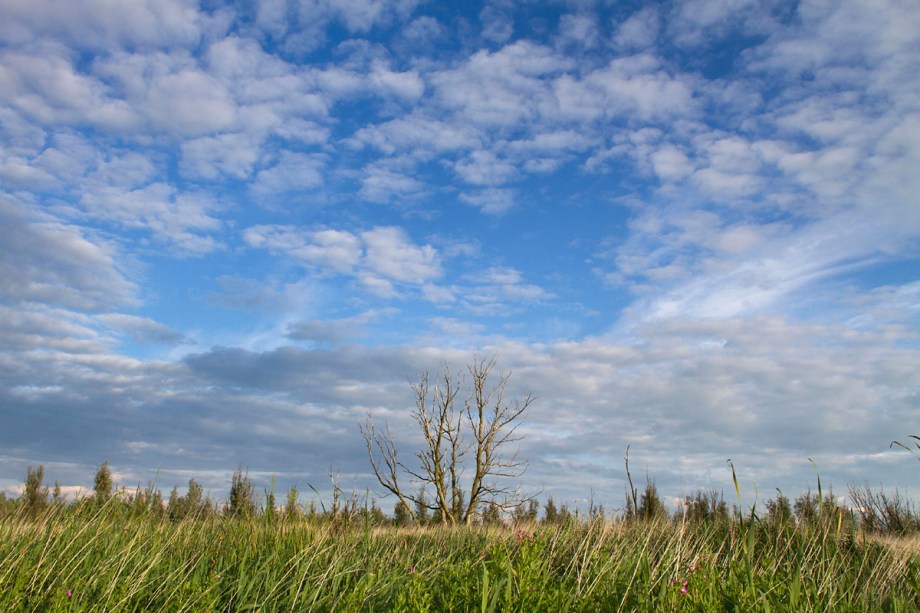Foto van de Kollumerwaard, Nationaal Park Lauwersmeer