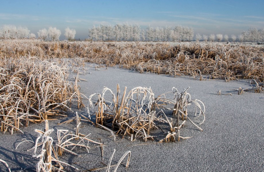 Foto van de Ruigenhoekse Polder, Groenekan
