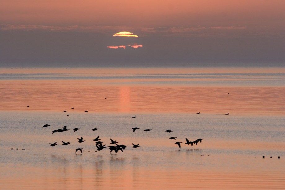 Foto van de Waddenzee, Terschelling
