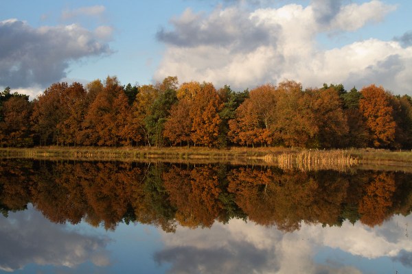 Foto van een ven bij Chaam