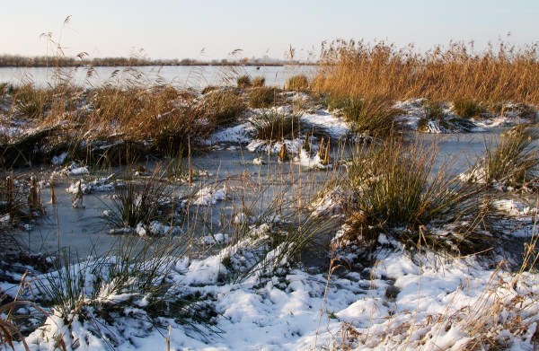 Foto van de Groene Jonker