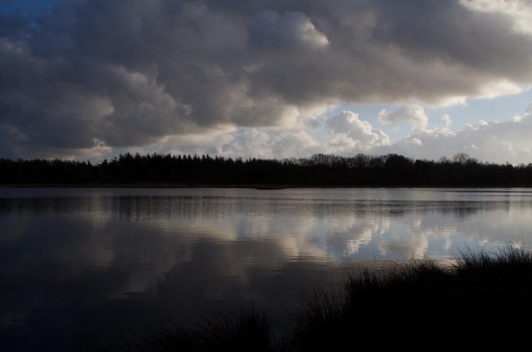 Foto een ven op het Leersumse Veld