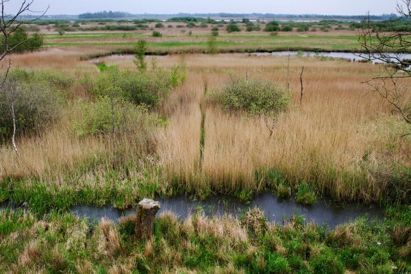Foto van Nationaal Park Alde Feanen, Friesland