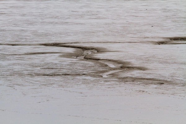 Foto van de Dollard, Groningen