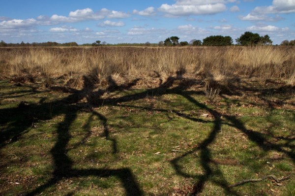 Foto van het Mantingerveld, Drenthe