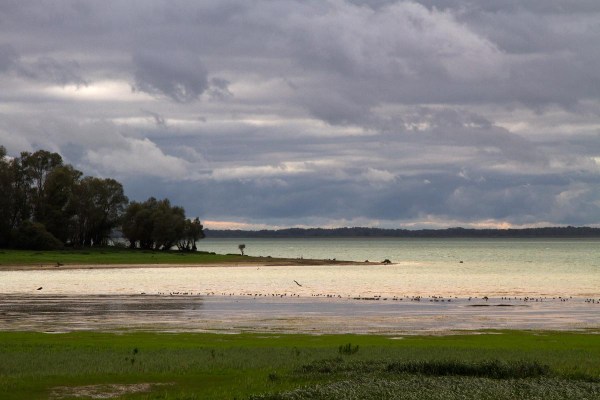 Foto van Lac du Der, Frankrijk