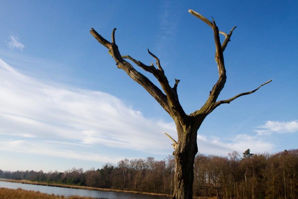 Foto van het Leersumse Veld, Leersum