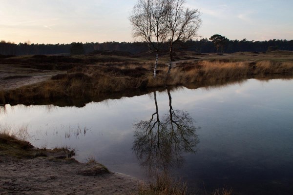 Foto van Landgoed Heidestein, Zeist