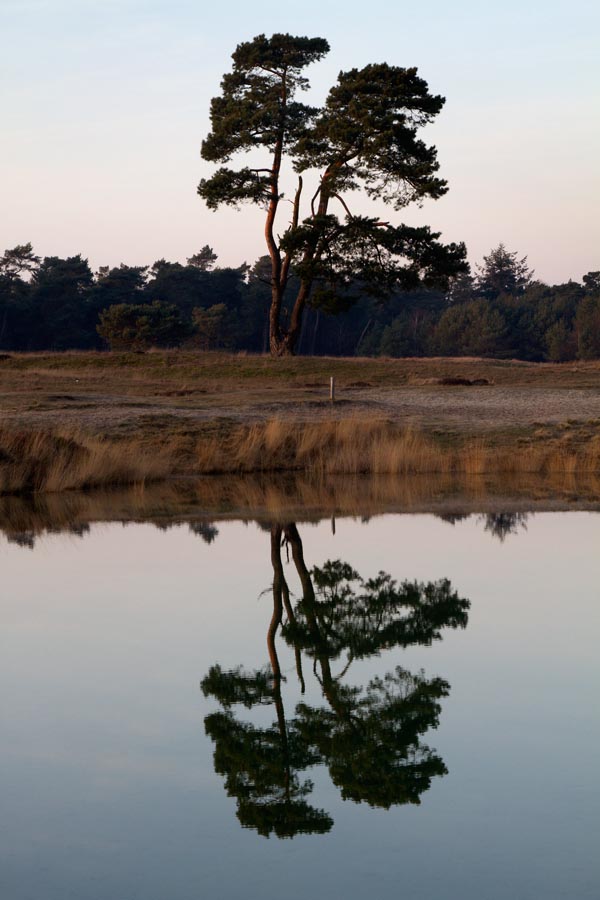 Foto van Landgoed Heidestein, Zeist