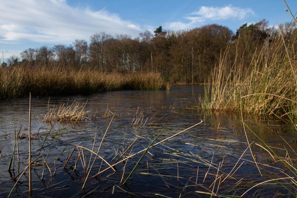 Foto van het Leersumse Veld, Leersum