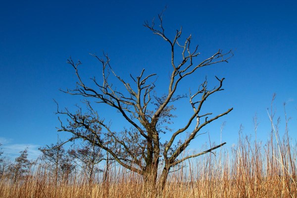 Foto van Tiengemeten