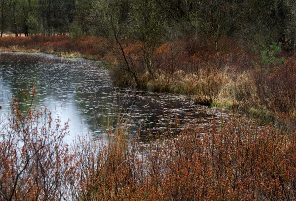 Foto van Nationaal Park Meinweg