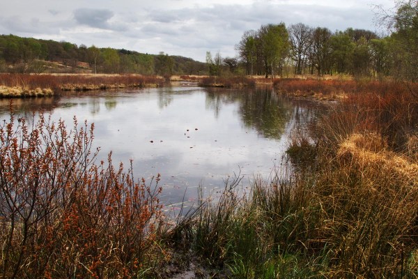 Foto van Nationaal Park Meinweg
