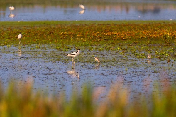 Foto van Kluten, Eempolder