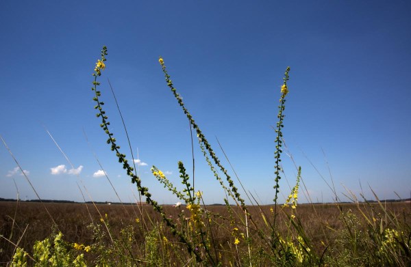 Foto van Hortobágy National Park, Hongarije