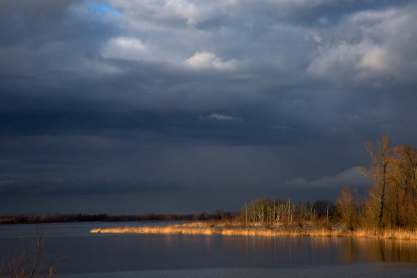 Foto van Nationaal Park de Biesbosch