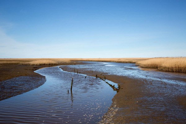 Foto van de Nieuw Buitengeul van Reiderland, Dollard