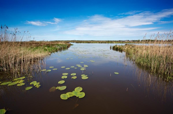 Foto van het Eelderdiep, de Onlanden, Drenthe