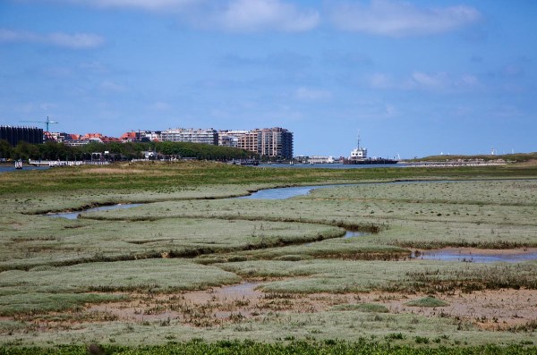 Foto van natuurreservaat de IJzermonding, Nieuwpoort, België