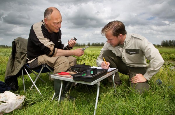 Foto van onderzoek Zwarte Sterns, Krimpenerwaard, Nederland