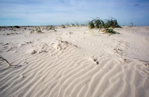 Foto van Rottumeroog
