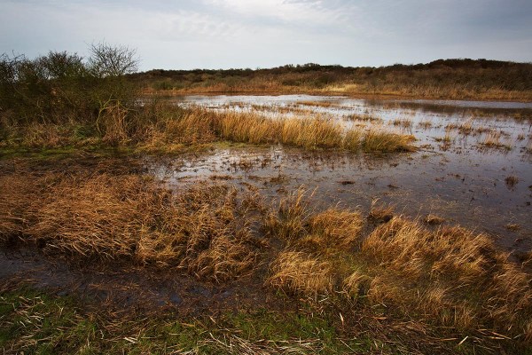 Foto van natuurgebied Kwade Hoek, Goeree-Overflakkee