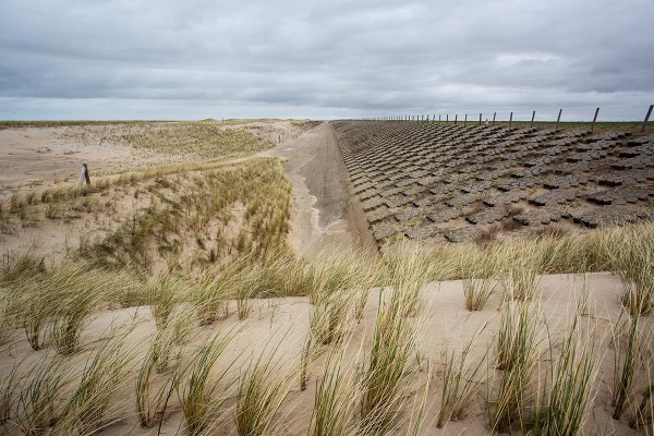 Foto van nieuwe duinen, Hondsbossche Zeewering, Petten