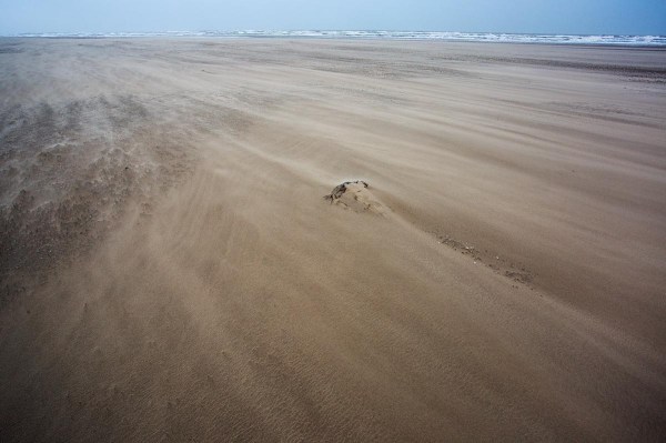Foto van het nieuwe strand , Hondsbossche Zeewering, Petten
