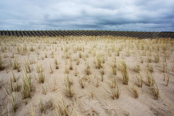 Foto van nieuwe duinen, Hondsbossche Zeewering