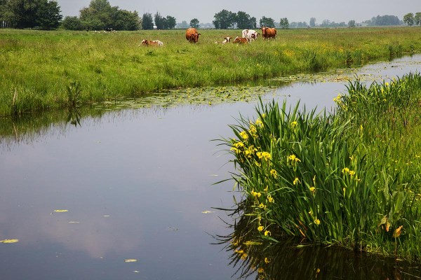 Foto van Polder Den Hoek, Krimpenerwaard