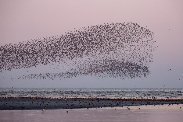 Foto van Kanoeten, the Wash, Norfolk, Engeland