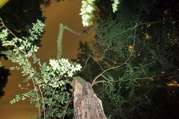 Foto van Heerlijkheid Stoutenburg.