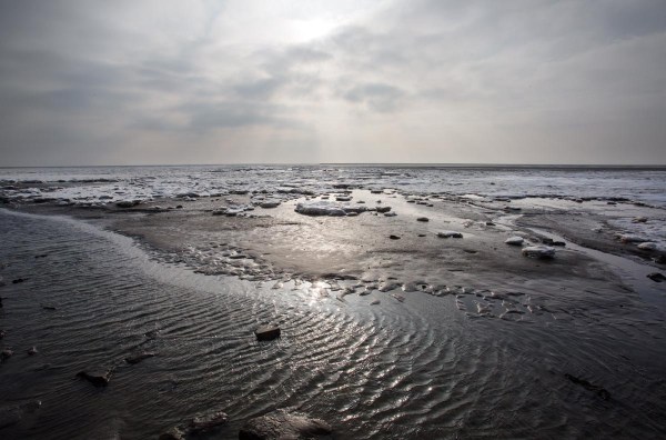 Foto van de Feugelpôlle, Ameland