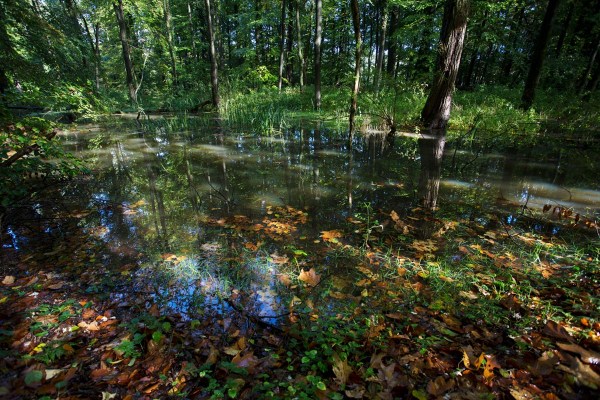 Foto van Bekendelle, Achterhoek